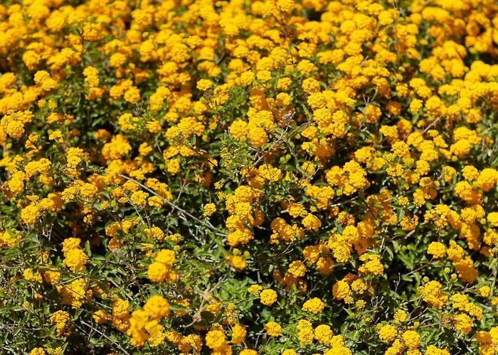 San Constantino Boutique 別荘 サントリーニ